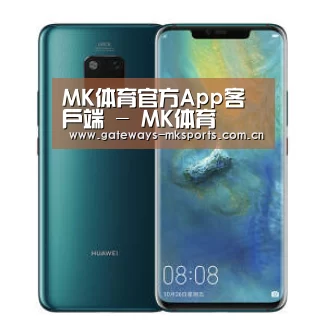华为无线快充手机