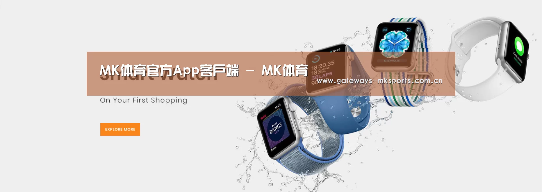 某某网络科技有限公司