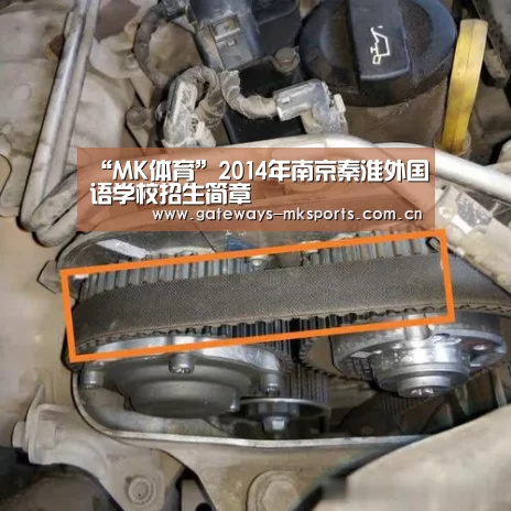 MK体育