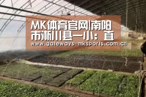 MK体育官网