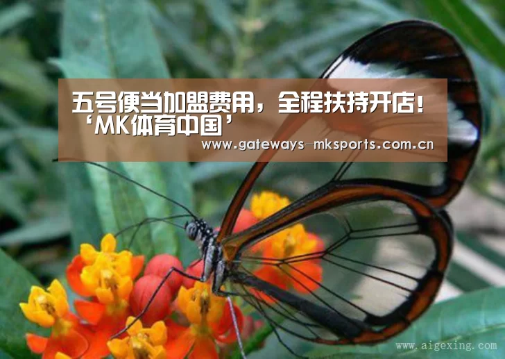 MK SPORT