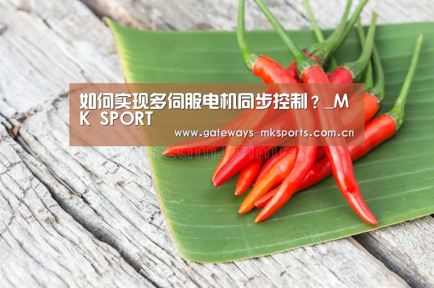 如何实现多伺服电机同步控制?_MK SPORT(图2) MK SPORT