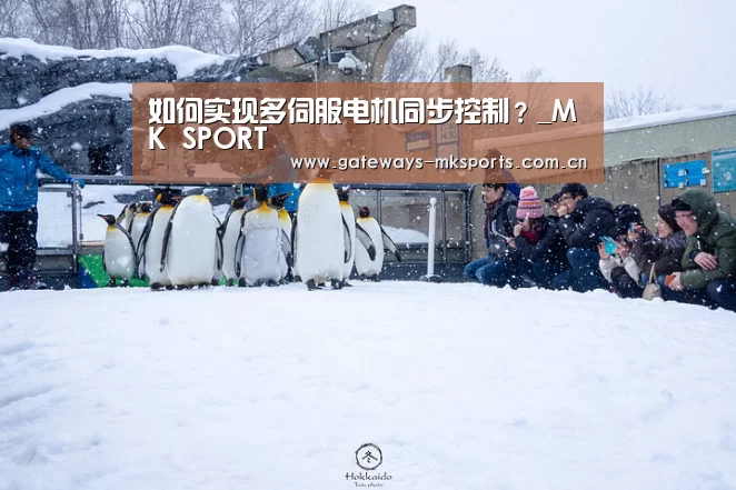 如何实现多伺服电机同步控制?_MK SPORT(图1) MK体育中国