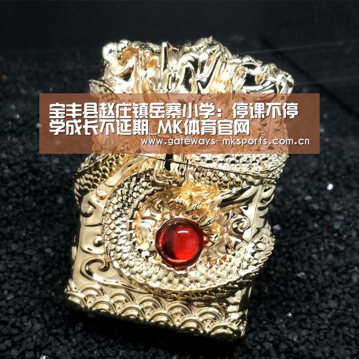 宝丰县赵庄镇岳寨小学:停课不停学成长不延期_MK体育官网(图1) MK体育