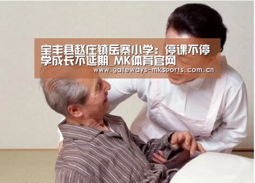 宝丰县赵庄镇岳寨小学:停课不停学成长不延期_MK体育官网(图2) MK体育官网