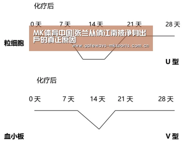 MK体育中国|张兰从俏江南被净身出户的真正原因(图2) MK体育官网