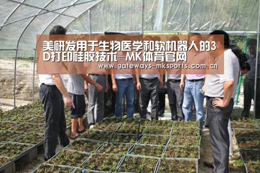 美研发用于生物医学和软机器人的3D打印硅胶技术-MK体育官网(图1) MK体育中国