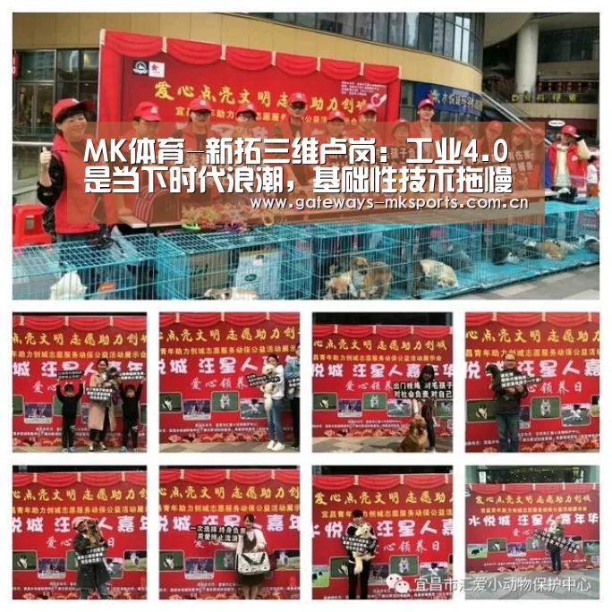 MK体育官网