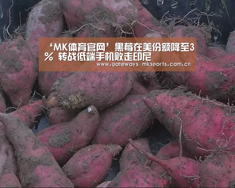 MK体育官网